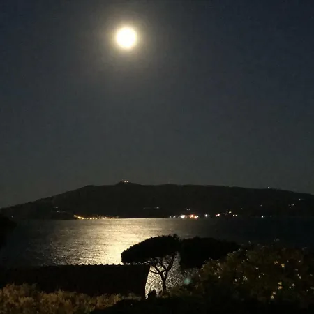 Artemisia Life Ορμπετέλλο