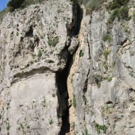 Artemisia Life Ορμπετέλλο