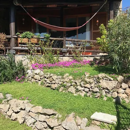 Artemisia Life Ορμπετέλλο