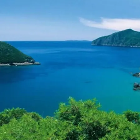 Bed and Breakfast Artemisia Life